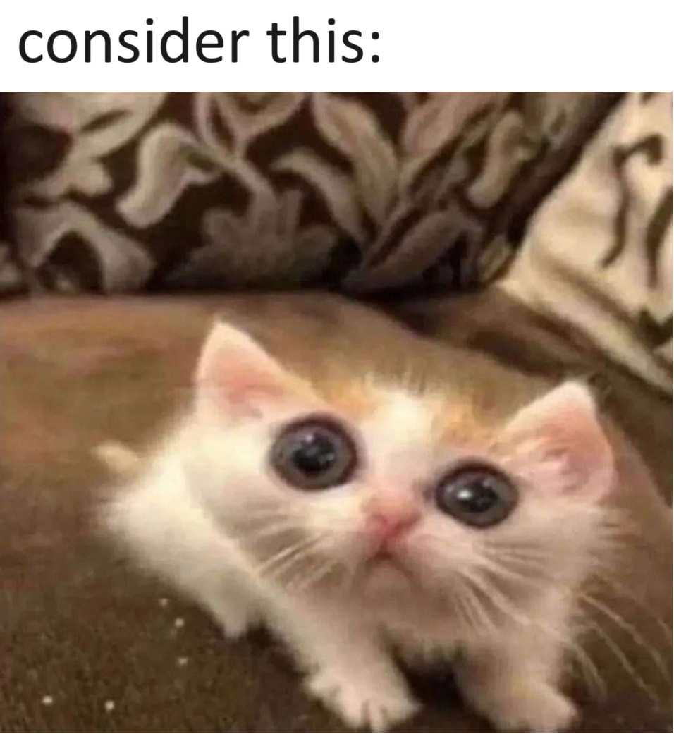 1779424088672.png