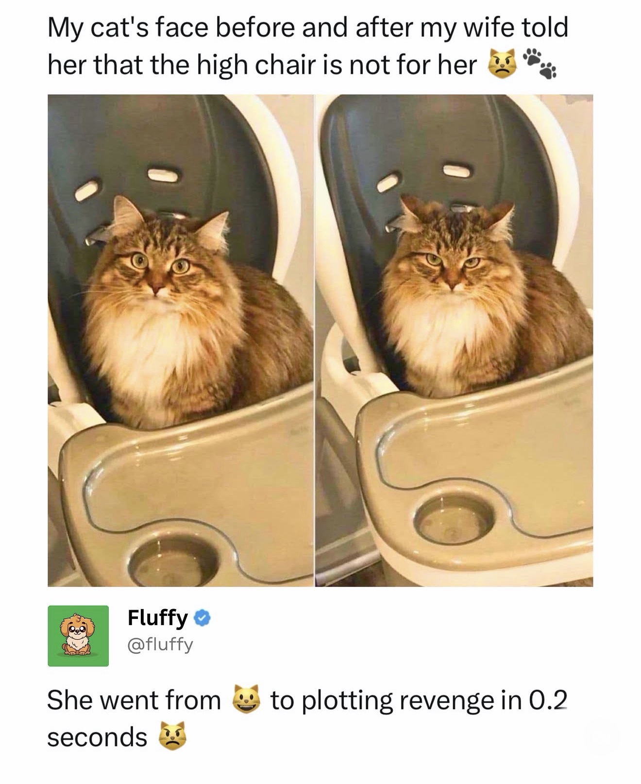 1779818338508.jpeg