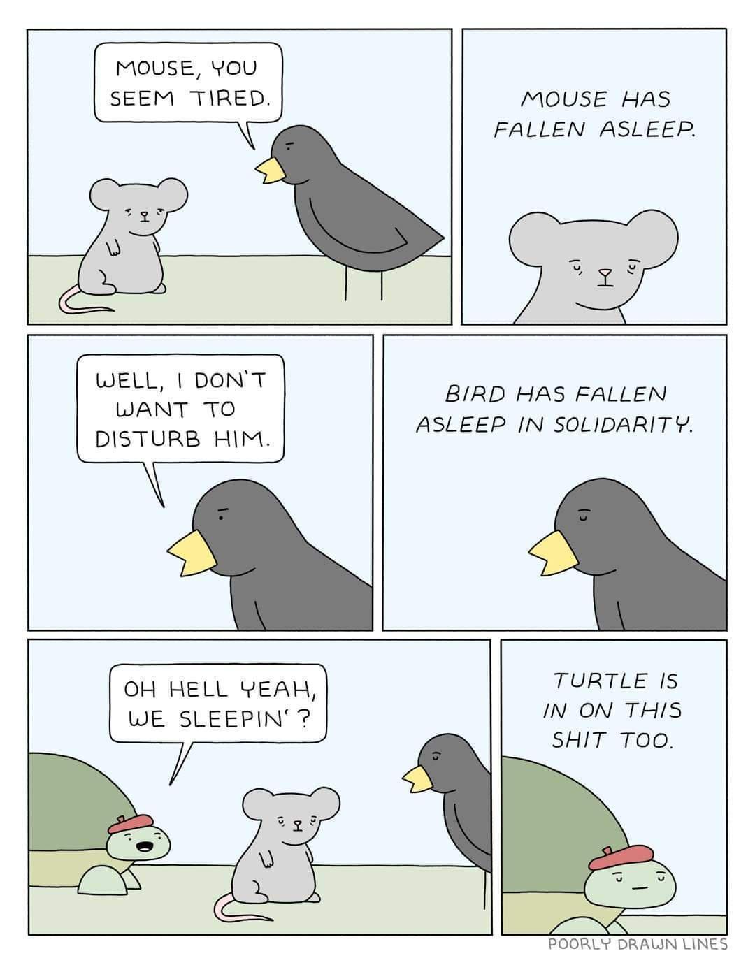 1780064856035.jpeg