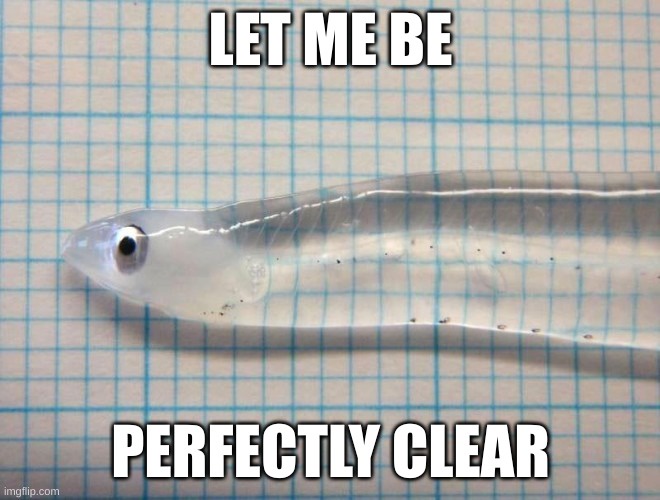 1780592288236.jpeg