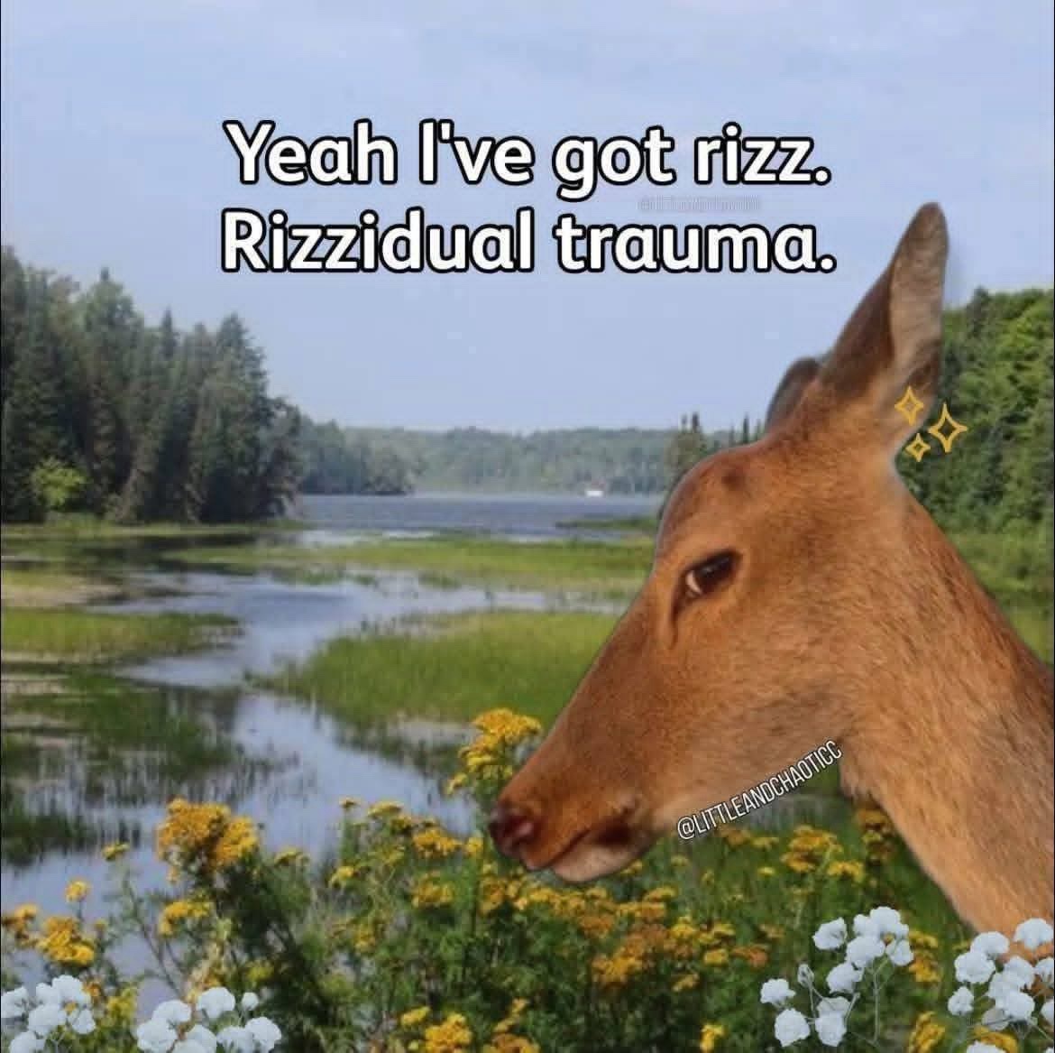 1780680218627.jpeg