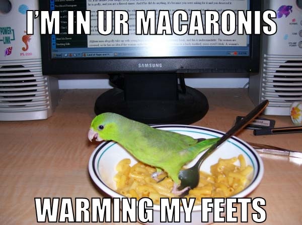 1780940498898.jpeg