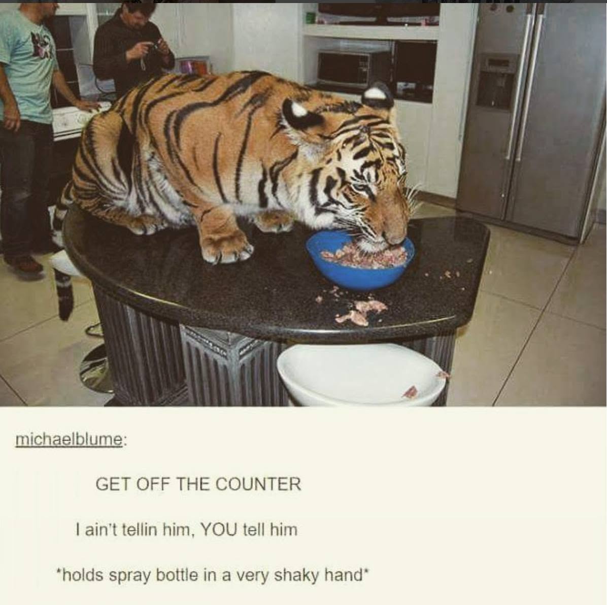 1781186985321.jpeg