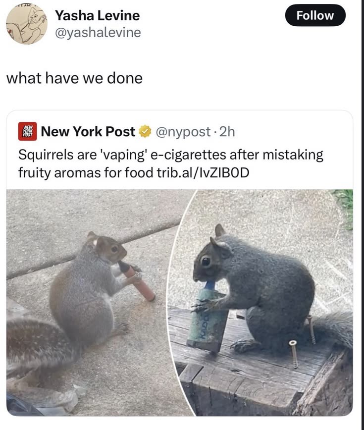 1781508868325.jpeg