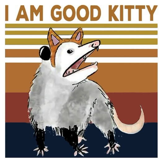 1781754945154.png