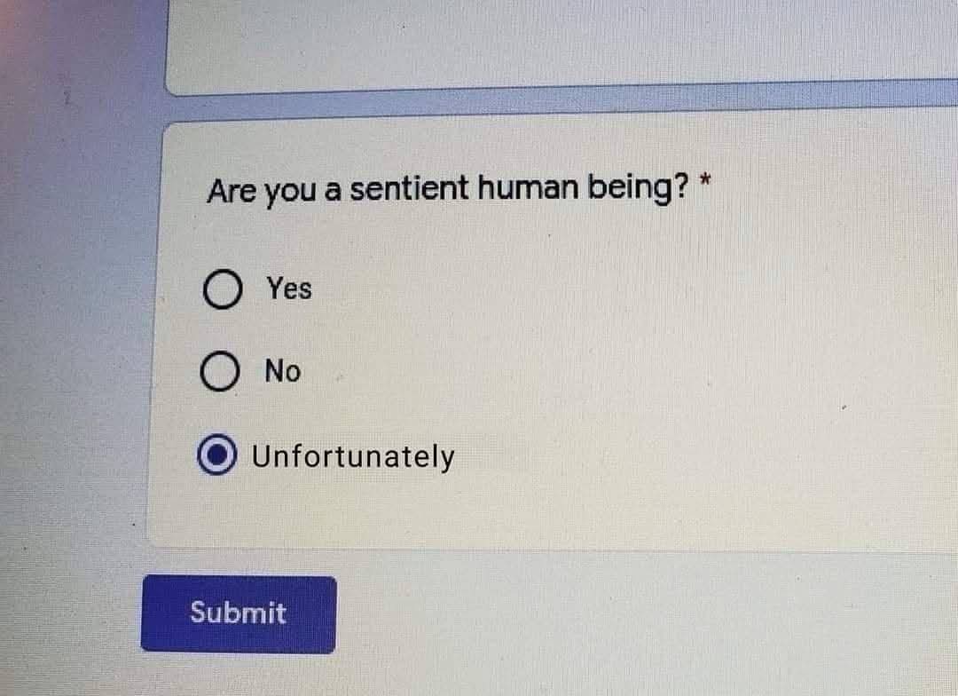 1781943835407.jpeg