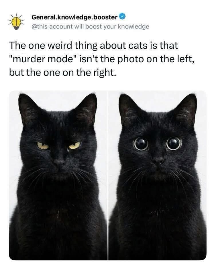 1782092704436.png
