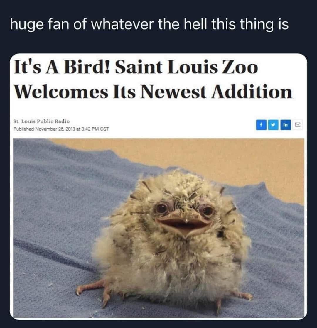 1782758490729.jpeg