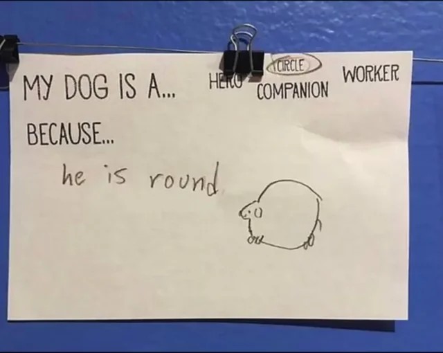 1782782109644.jpeg