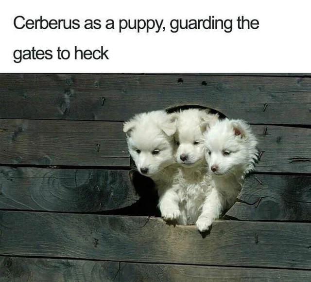 1782782545493.jpeg