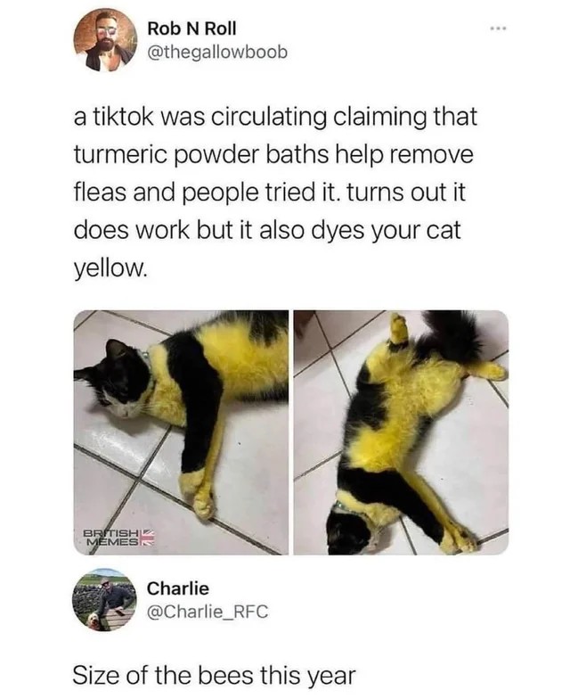 1782782662646.jpeg