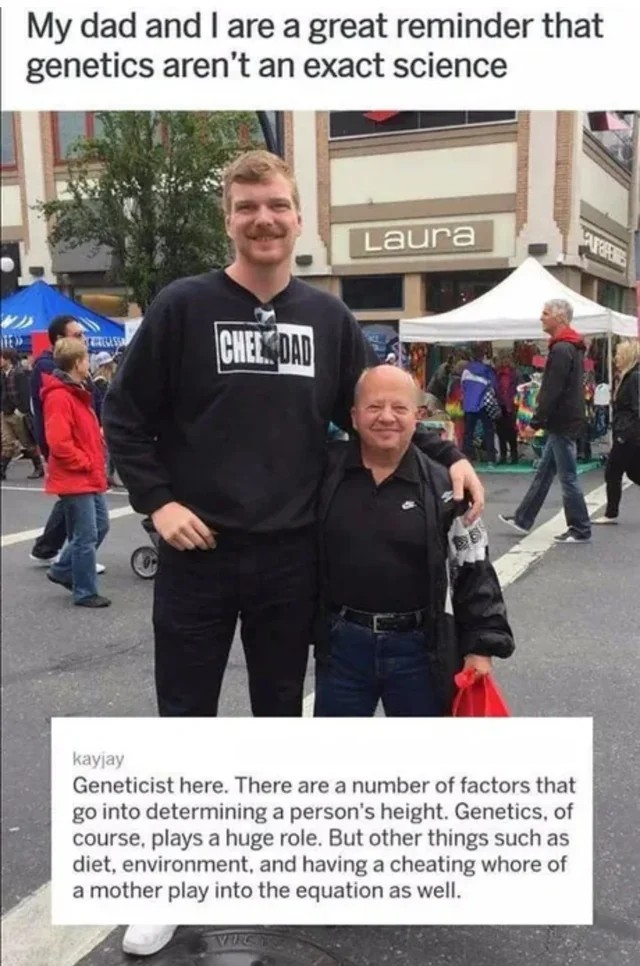 1782825791892.jpeg