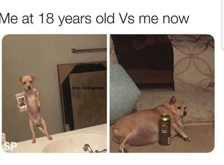 1782923604459.png