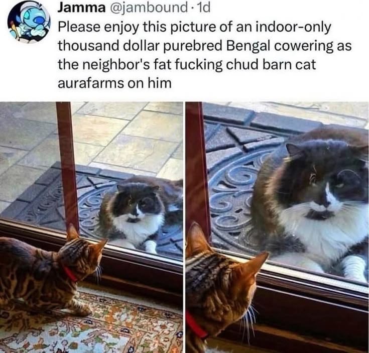 1783241140307.jpeg