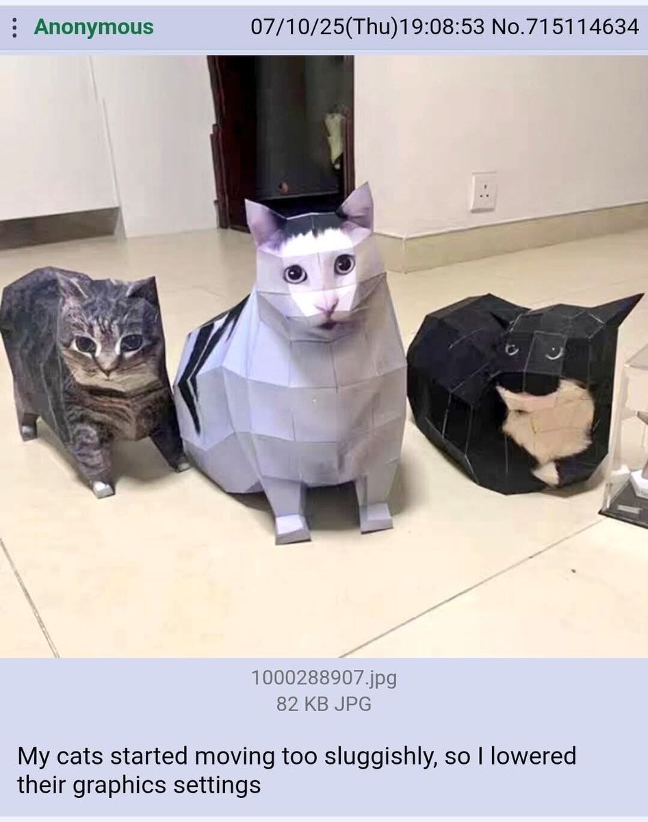 1783247629850.jpeg