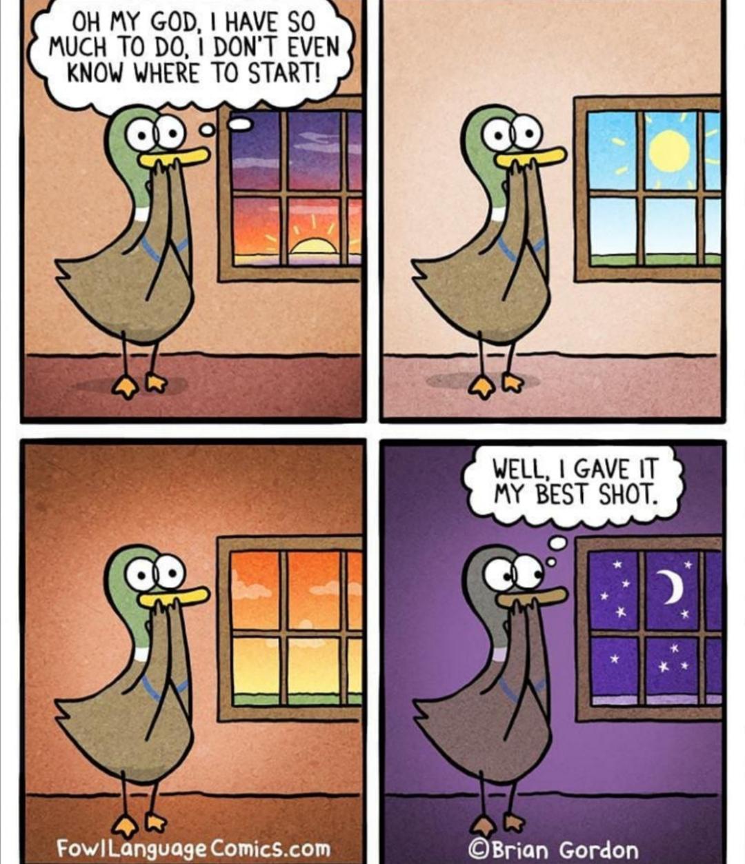 1783423138471.jpeg