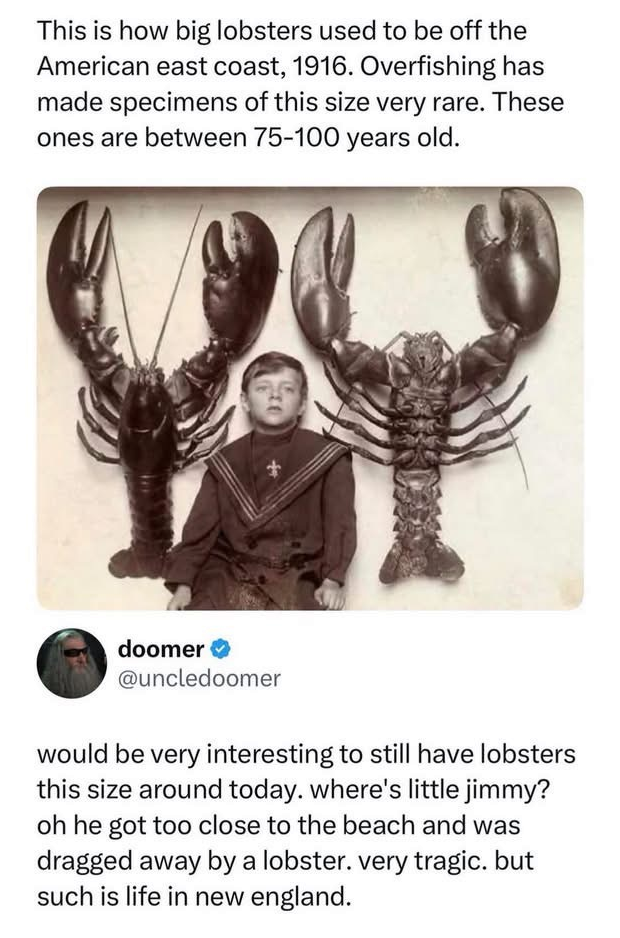 1783436071803.png