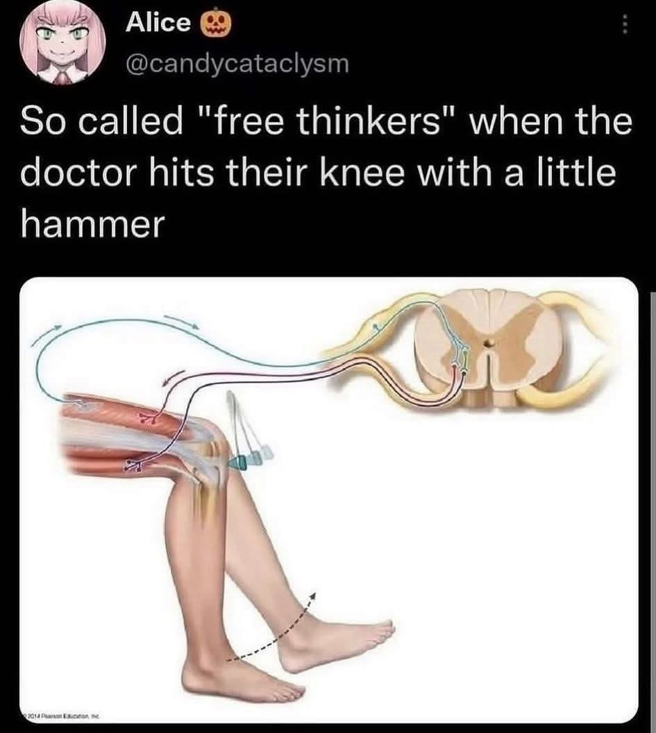 1783526508851.png