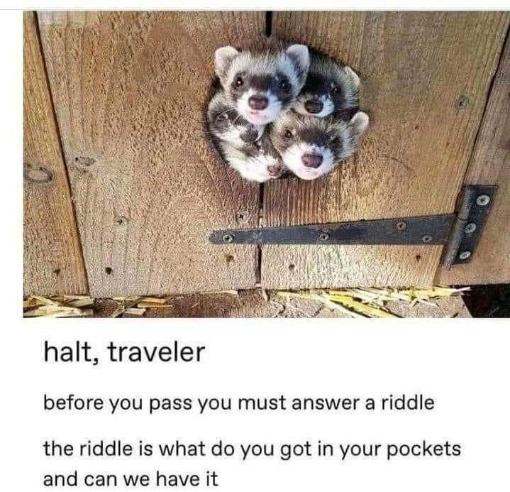 1784140963395.jpeg