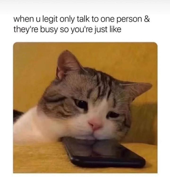 1784189687830.jpeg