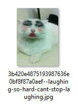 1784876950685.png