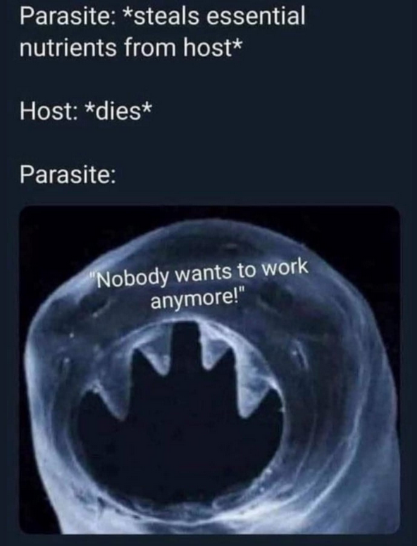 1785265449574.png