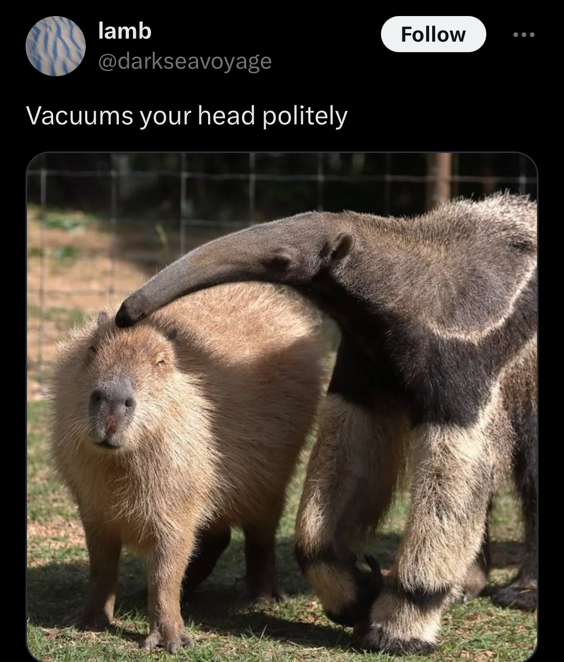 1785870719739.png