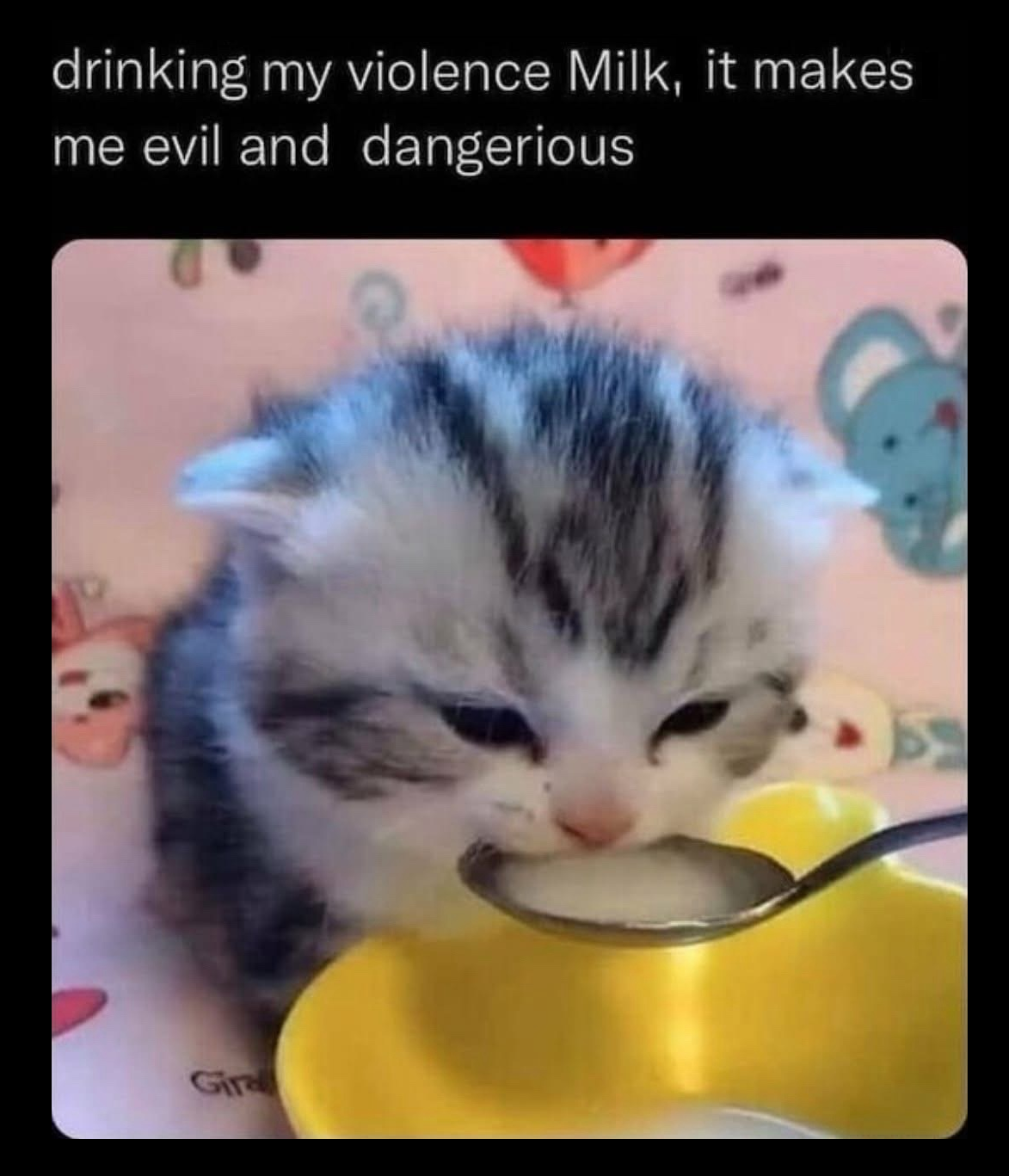 1785873508582.png