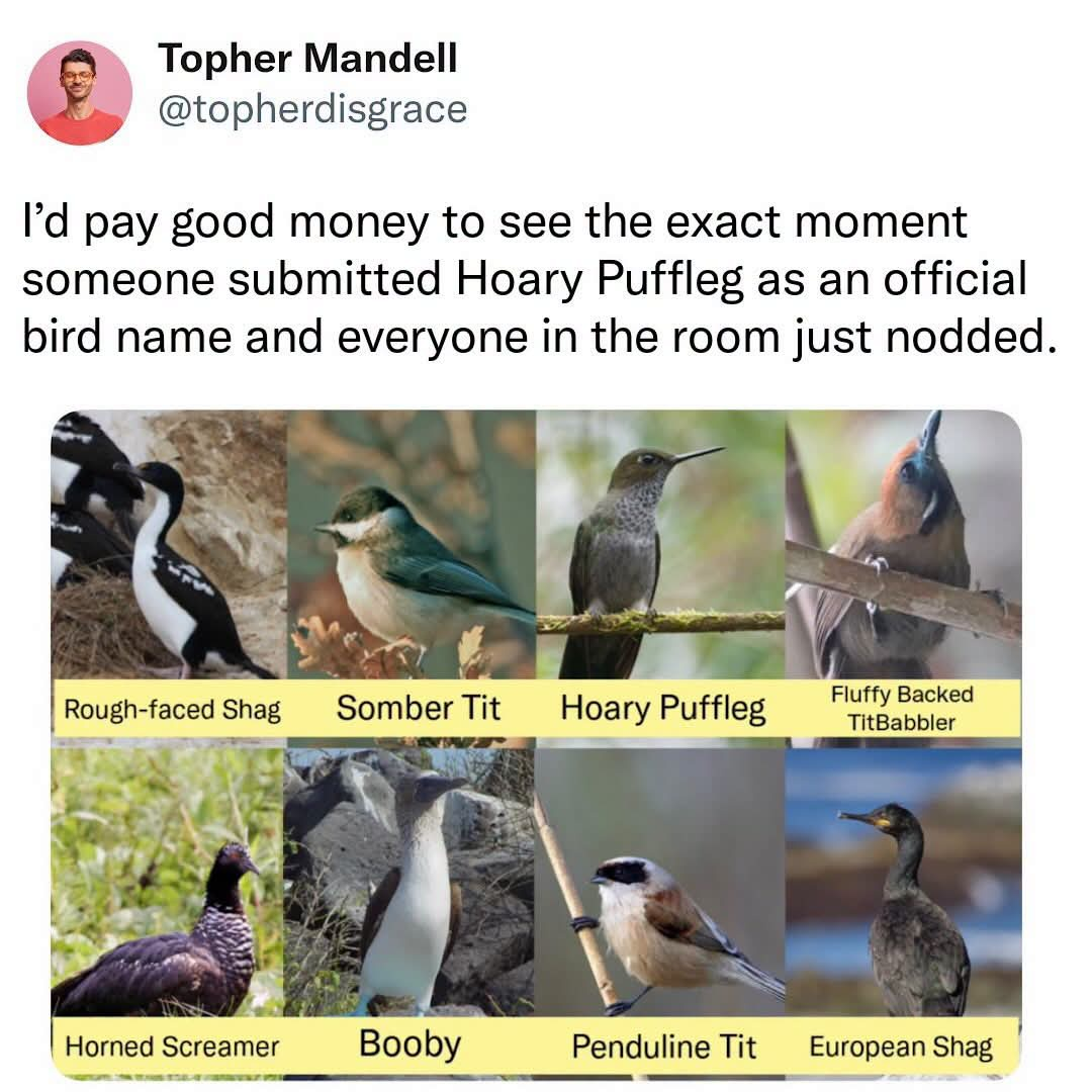 1786035800364.png