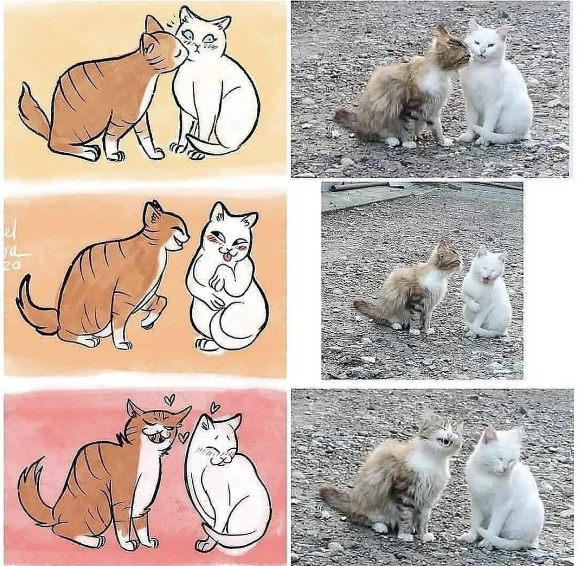 1786099430209.jpeg