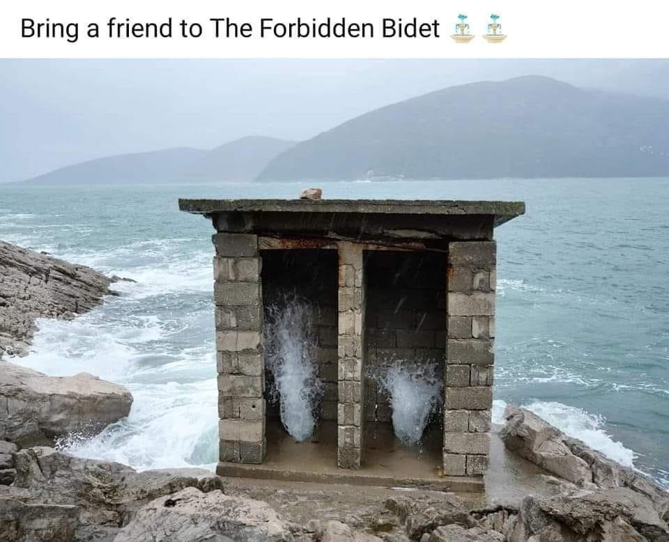 1786389262994.jpeg