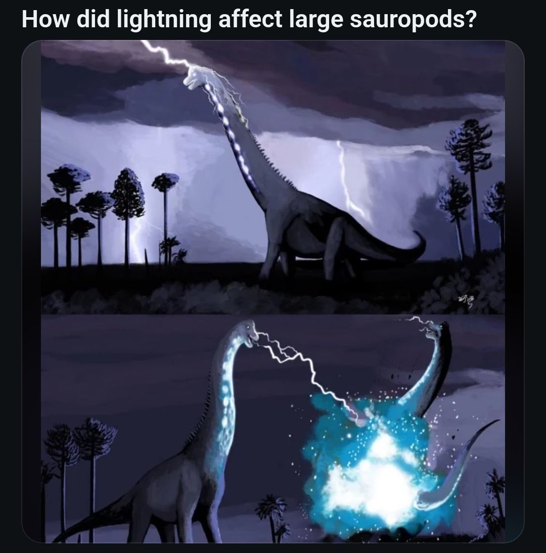 1786610635853.jpeg