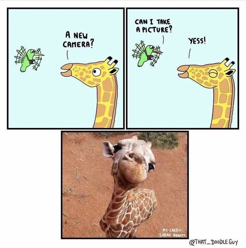 1786642430753.jpeg