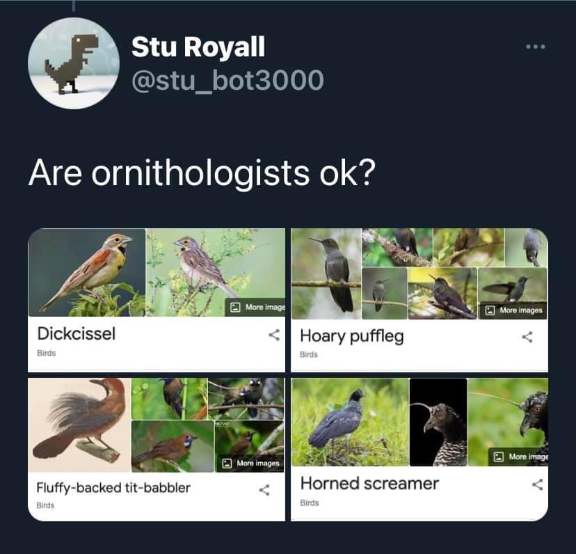1786709856928.jpeg
