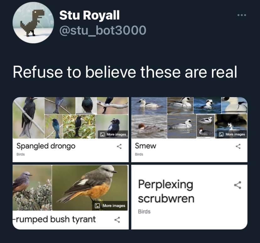 1786709884607.jpeg