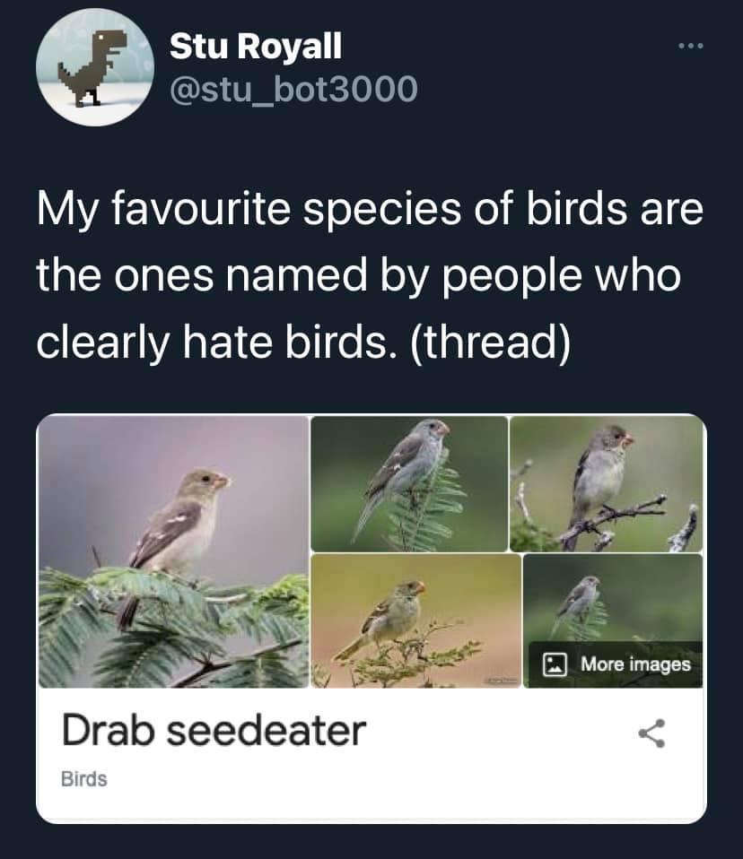 1786709916761.jpeg