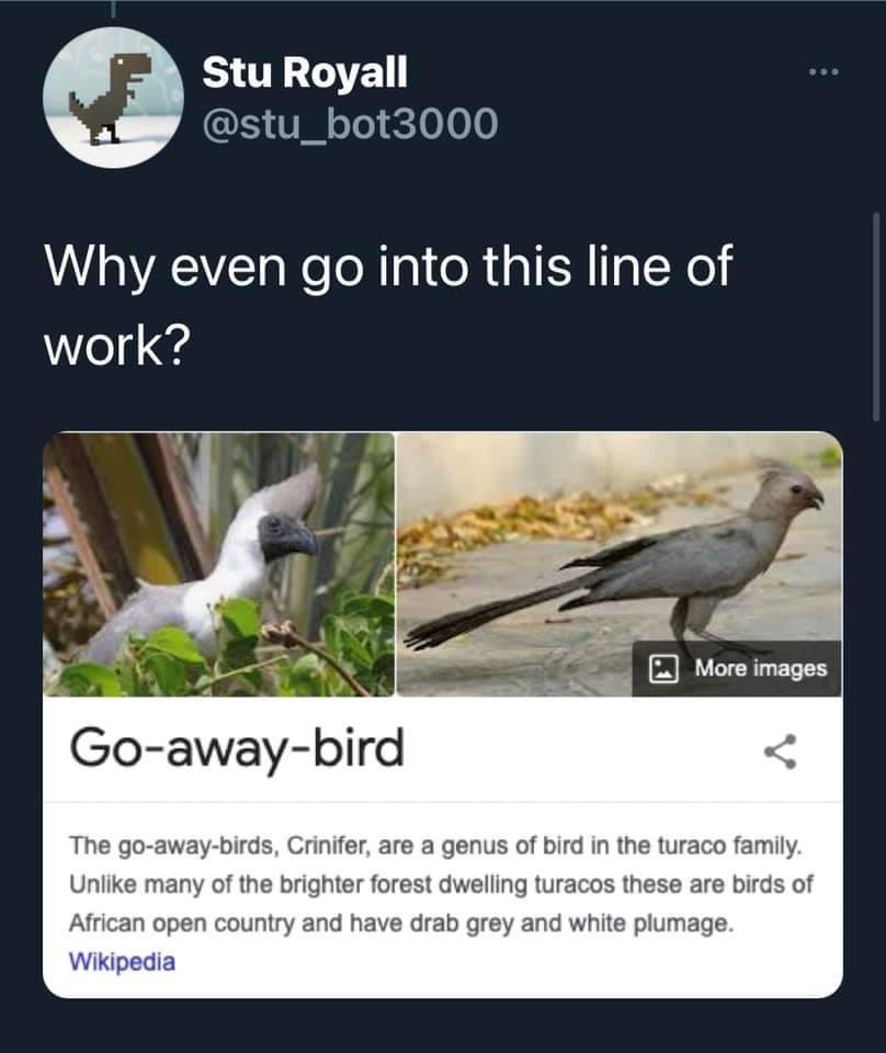 1786709942985.jpeg