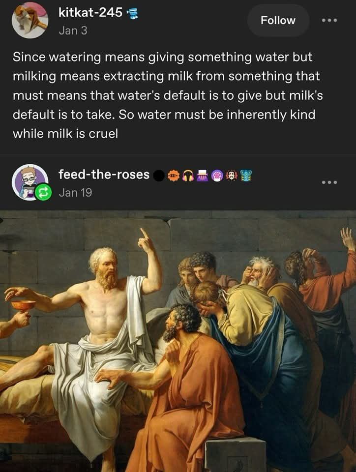 1786732311719.jpeg