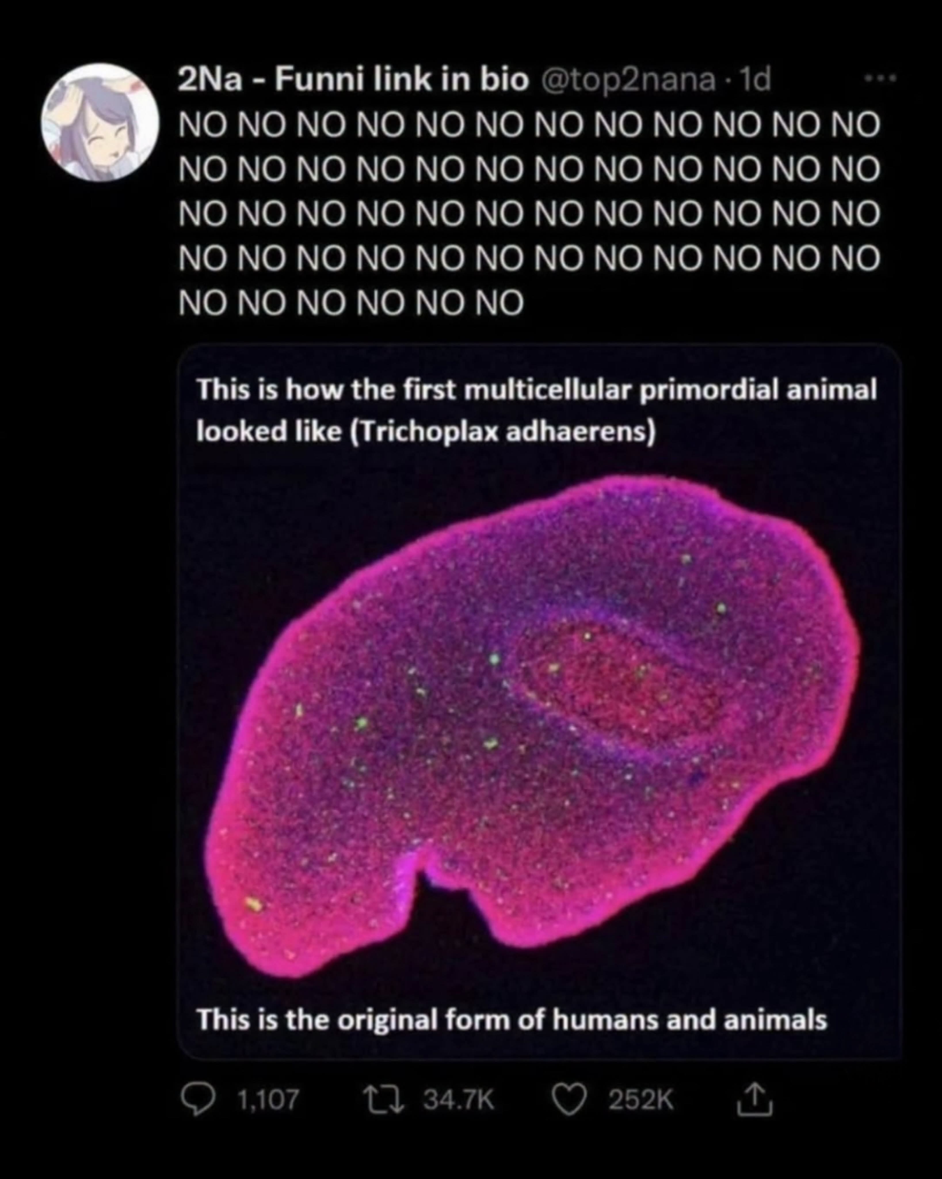 1786797568875.jpeg