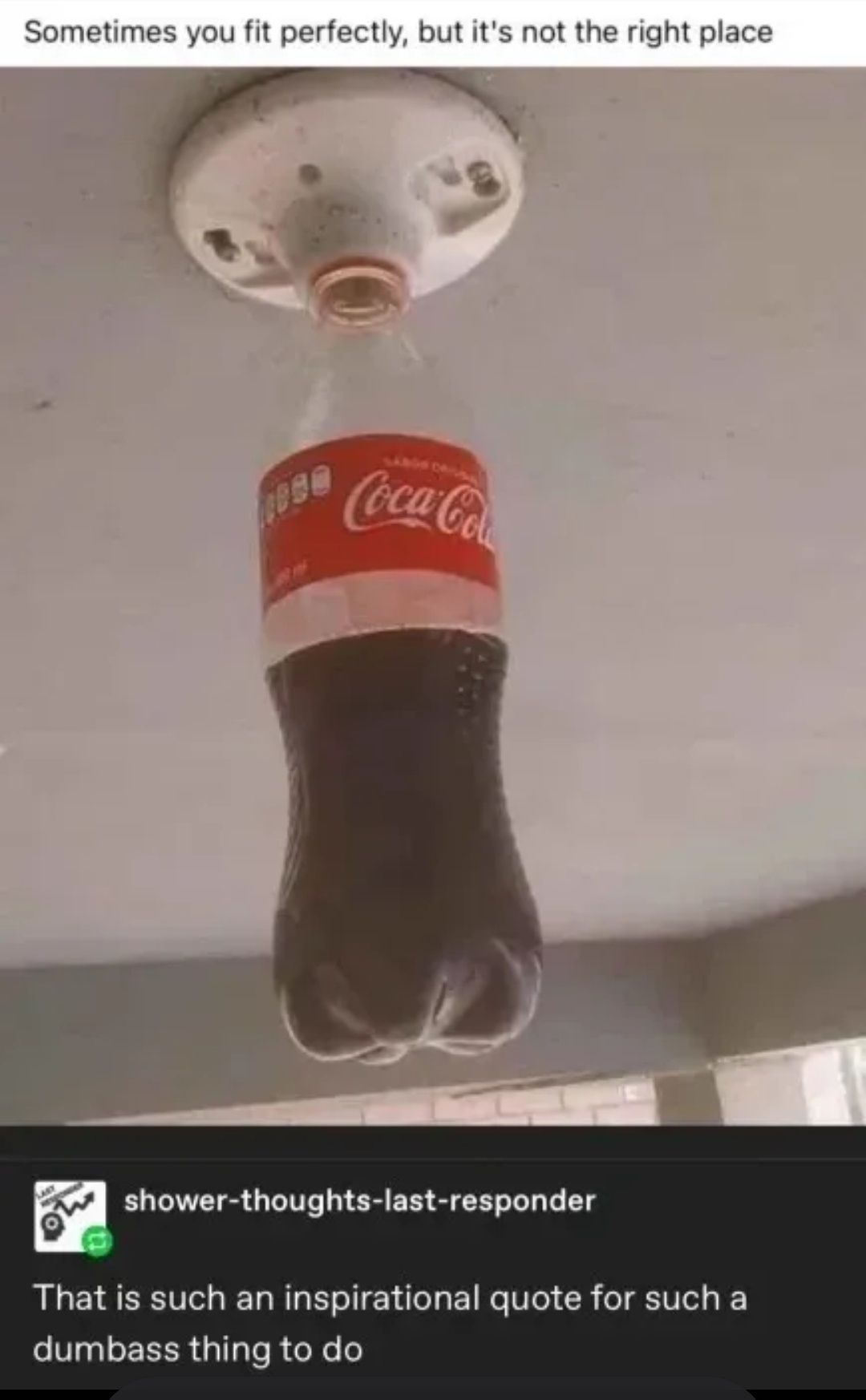 1787216515916.jpeg