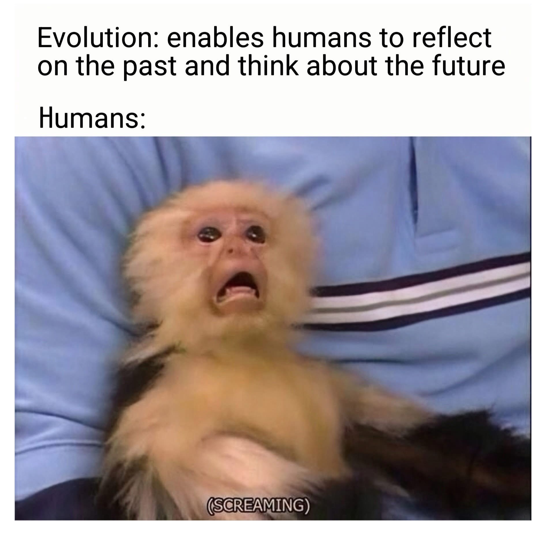 1787235992959.png