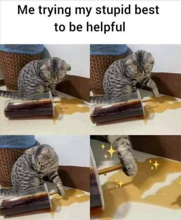 1787400103637.jpeg