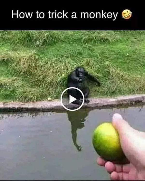 1787446840167.png
