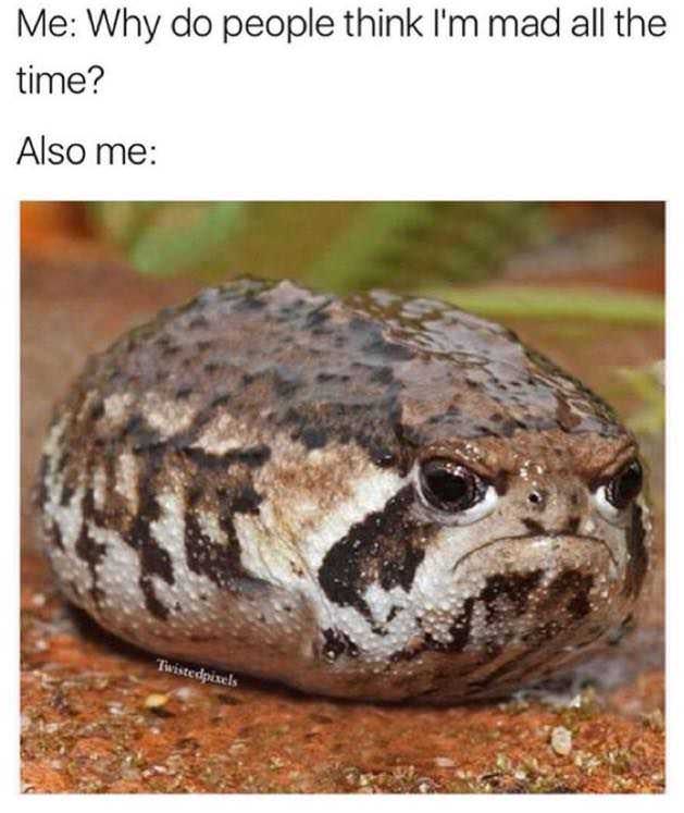 1787607970454.jpeg