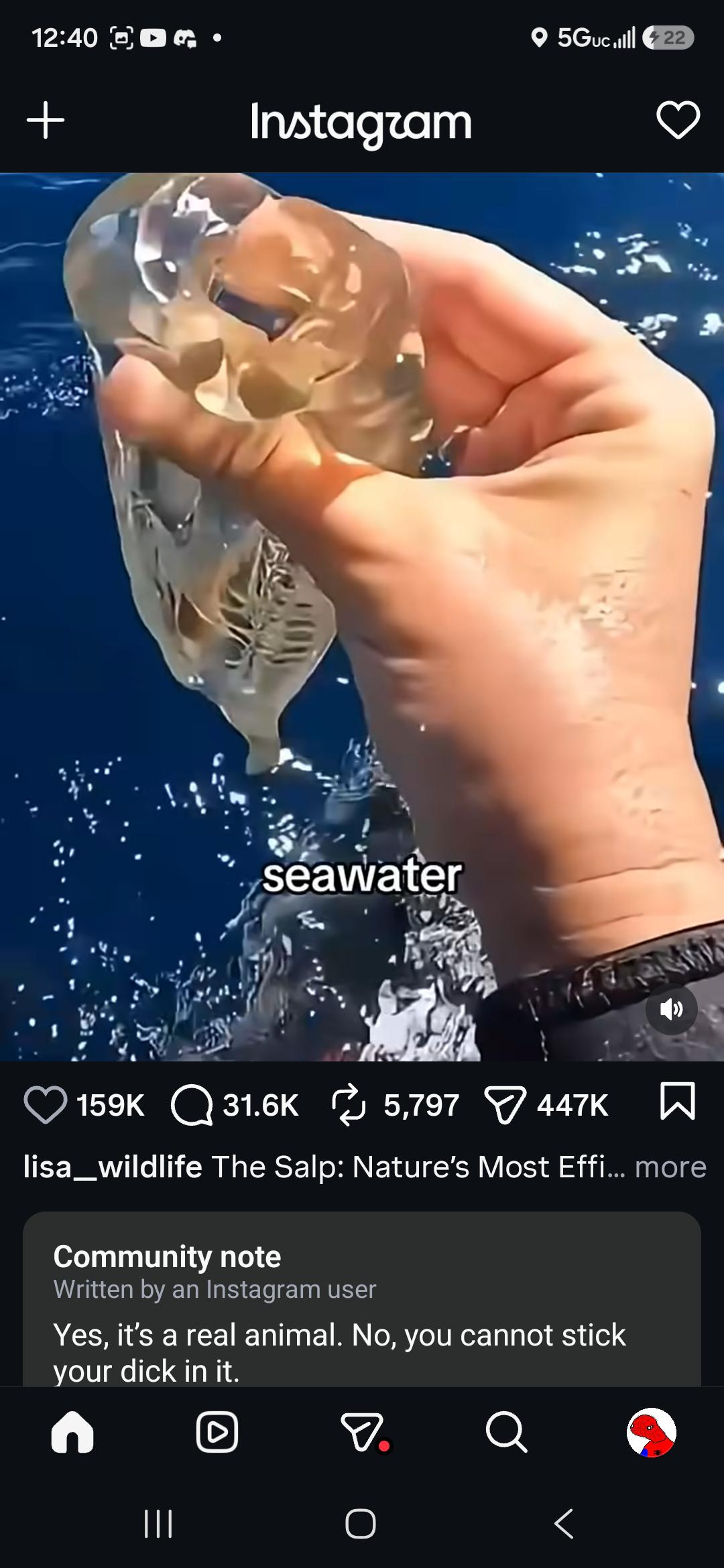 1788076353319.png