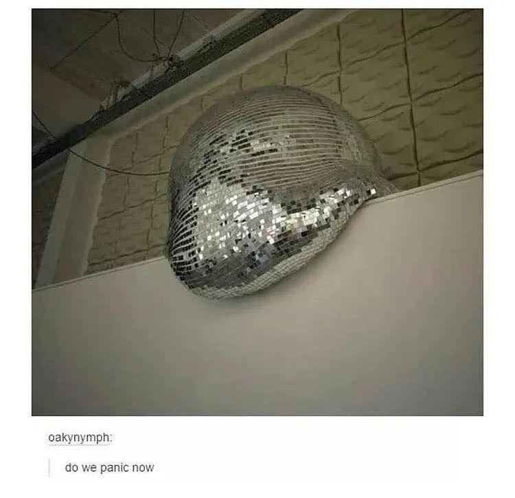 1788757109731.jpeg