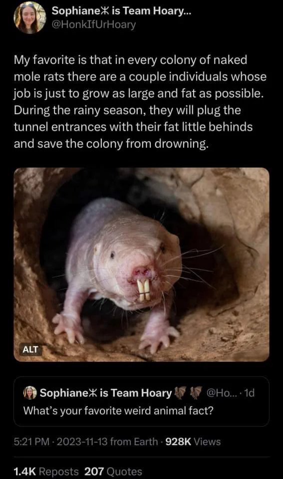 1788791473399.jpeg