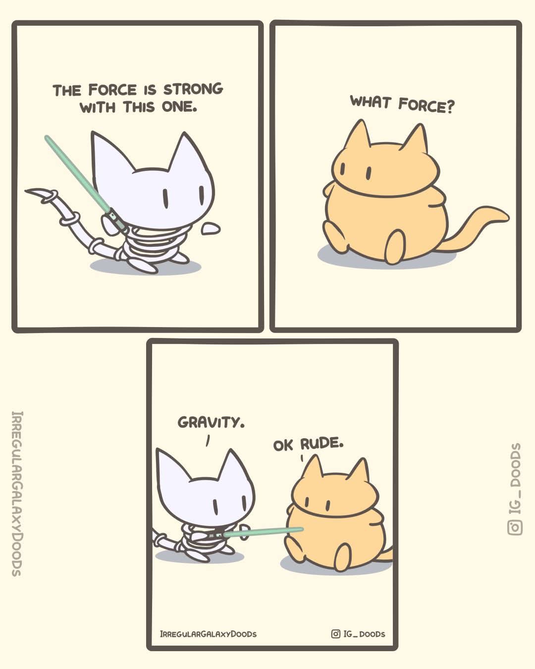 1789446203345.jpeg