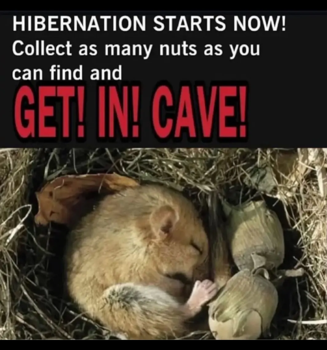 1789721082730.png