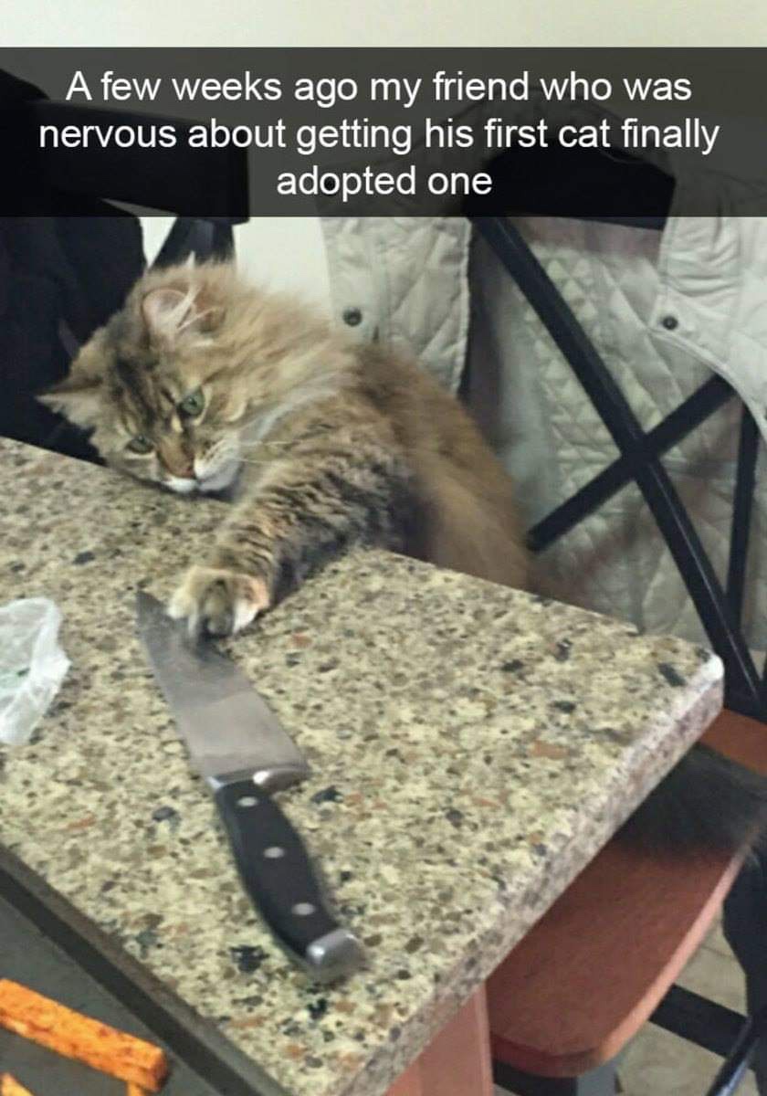 1790837155114.jpeg